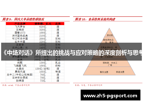 《中场对话》所提出的挑战与应对策略的深度剖析与思考