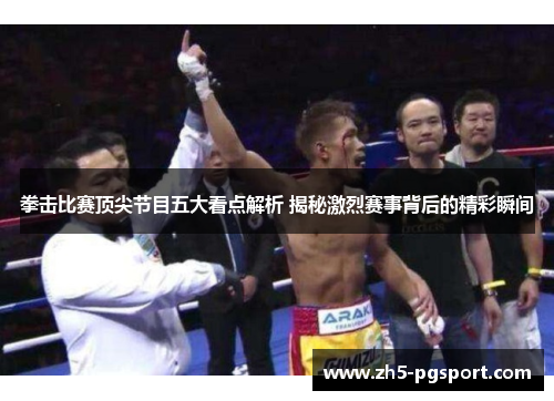 拳击比赛顶尖节目五大看点解析 揭秘激烈赛事背后的精彩瞬间