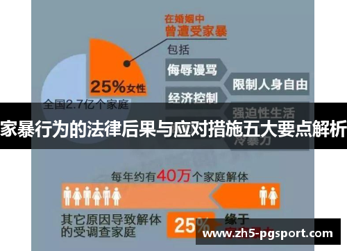 家暴行为的法律后果与应对措施五大要点解析