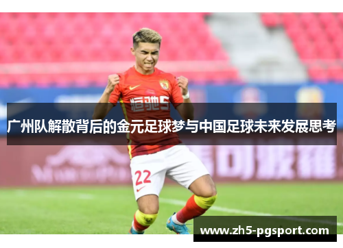 广州队解散背后的金元足球梦与中国足球未来发展思考