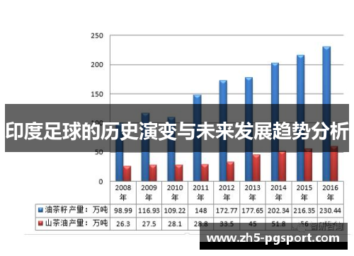 印度足球的历史演变与未来发展趋势分析
