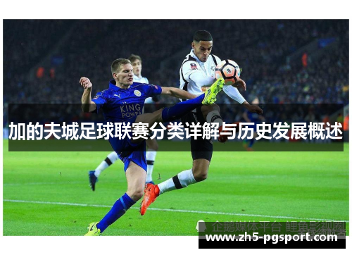 加的夫城足球联赛分类详解与历史发展概述 加的夫城足球联赛分类详解与历史发展概述