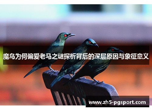 魔鸟为何偏爱老马之谜探析背后的深层原因与象征意义