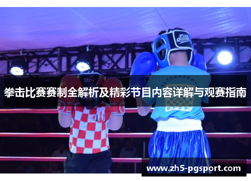 拳击比赛赛制全解析及精彩节目内容详解与观赛指南