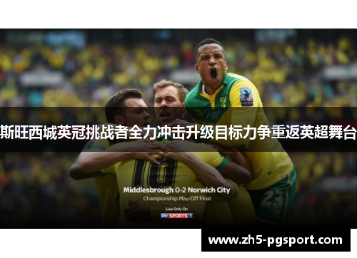 斯旺西城英冠挑战者全力冲击升级目标力争重返英超舞台