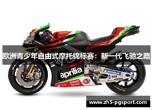 欧洲青少年自由式摩托锦标赛：新一代飞驰之路